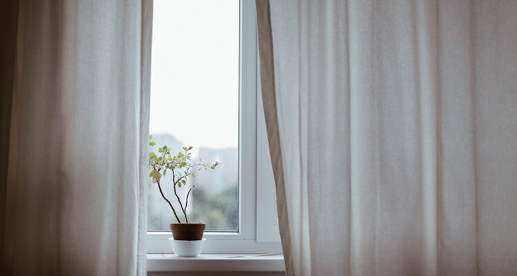 窓際に置かれた植物の植木鉢と薄いカーテン