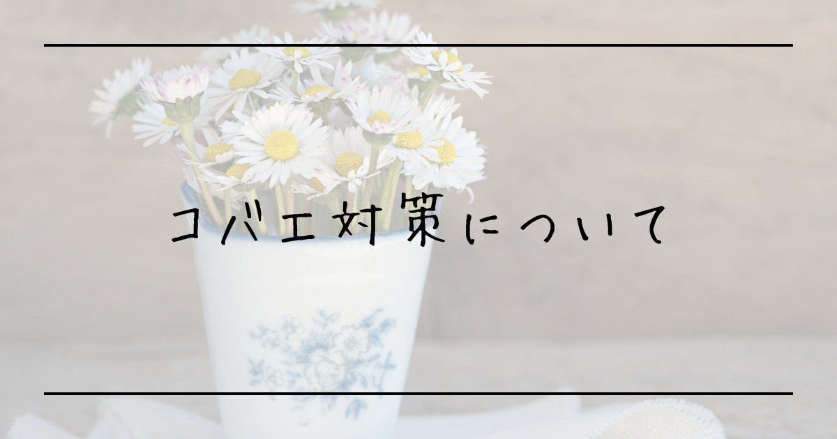 室内に置いてある花の植木鉢の写真背景の上に「コバエ対策について」の文字が書いてある