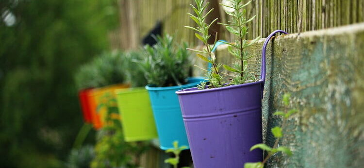 塀に引掛けられた色とりどりの植木鉢が6個