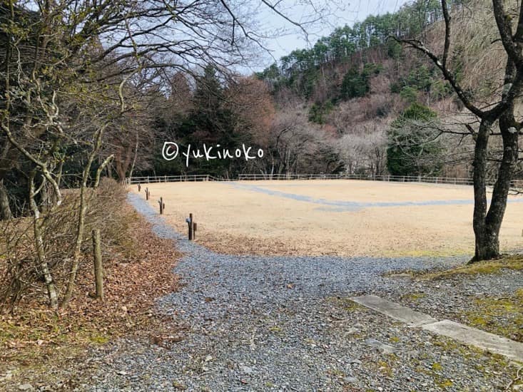 手前の砂利道の先に芝生の場所が広がっていて、左右には木々が何本も生えている