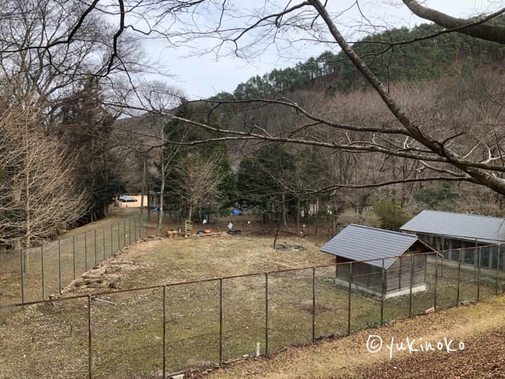 手前にはフェンス、見下ろした先の広場はフェンスに囲まれていて右側には小屋が2つ、左側には木々が見えている