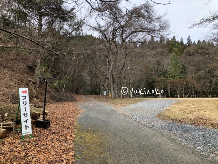 右側に芝生の広場があり、左側と奥には木々が生い茂っており、左手前には「フリーサイト」と書かれた看板が置いてある