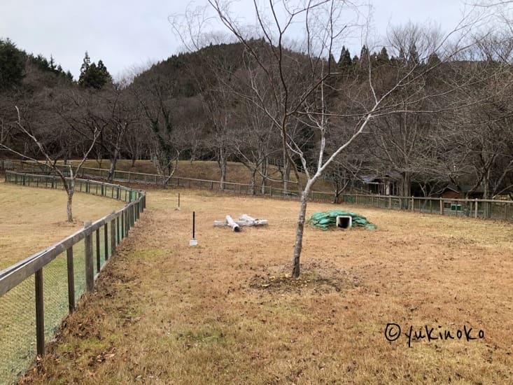 中央に木、奥に盛り土や丸太や木が見える