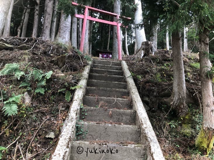 山の中に階段があり、中央奥に神社の鳥居がある