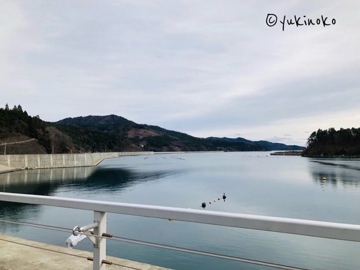 手前に手すりがあり、奥には山もあるが一面に海の景色が広がっている