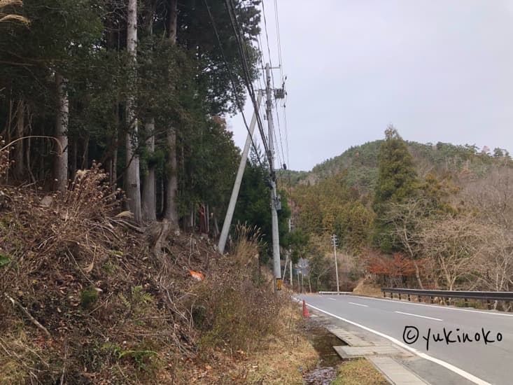 左に山、右に道路がある