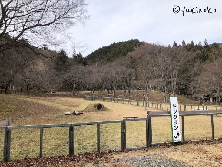 ドックランという看板と柵、柵の内側の広場の中央には小さい盛り土と中に土管のトンネルが見える