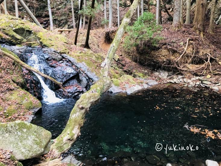 左に滝、中央に池がある