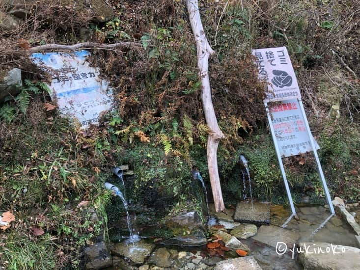 山の斜面から湧き水が出ている管が4本あり、下には水たまりができている