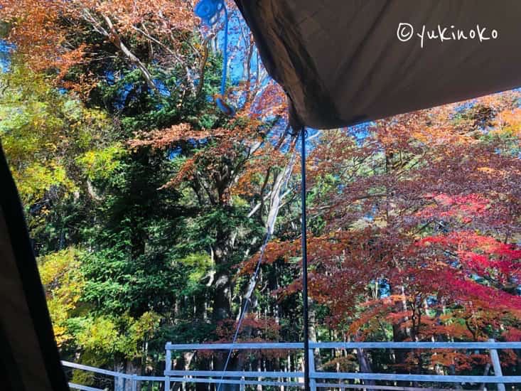 頭上にOgawaのシャンティrのタープ部分が左上に少し写り込んでいて、正面には紅葉の景色が見えている
