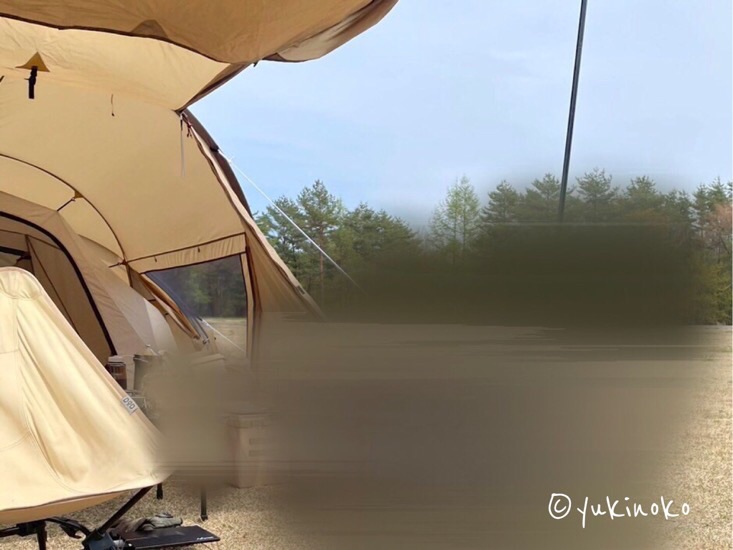 左側にテント内部、正面奥には森が見える