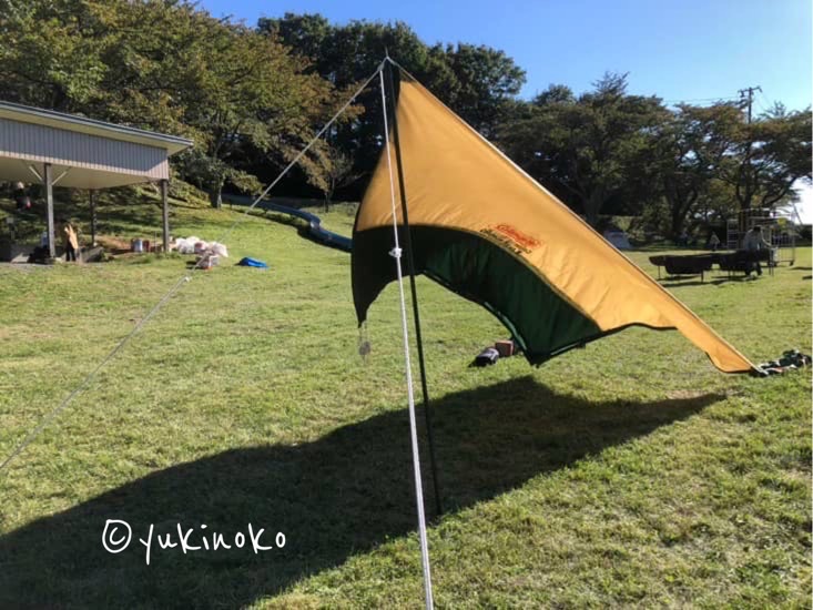 タープを張っている途中の様子で、ポール1本に紐が2本繋がっていて立てた状態のところにタープを繋げて張ろうとしている、タープが風になびいている
