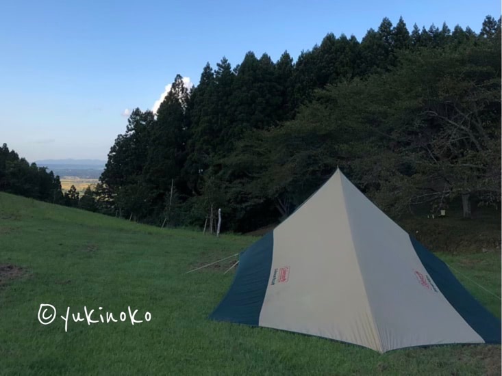 青空の下、奥に森が見える芝生の場所にタープがひとつ張ってある