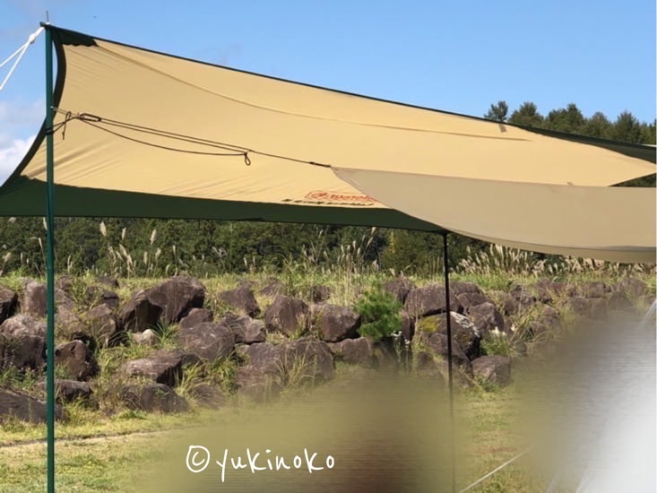 青空を背景に、タープがポール 2本とロープによって張られている