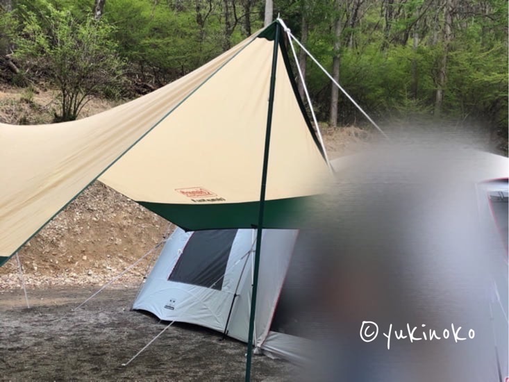 テントの左隣にタープが張られている、ポール2本とロープを使用している