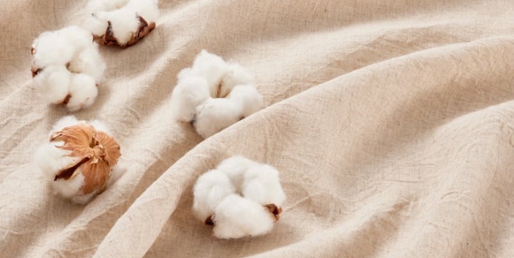 生成色の布の上に綿花が5個転がっている