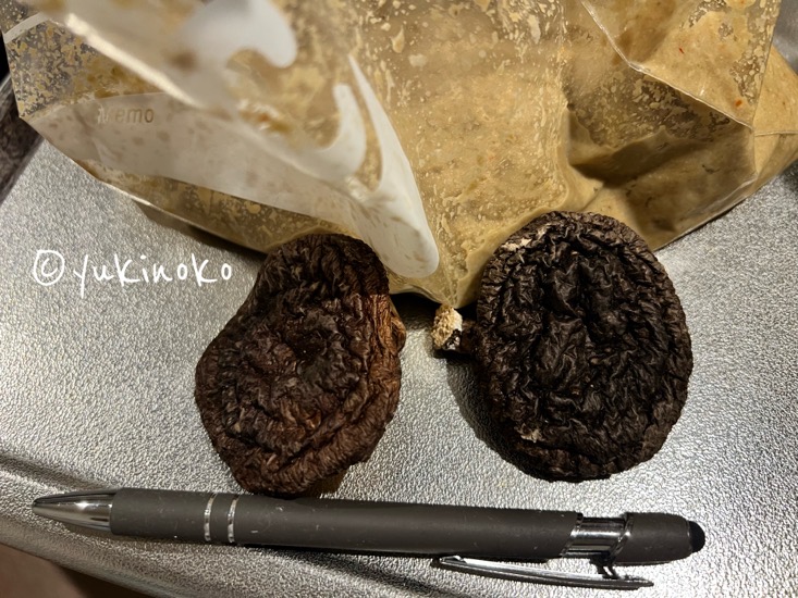 ぬかどこが入った袋の手前に、中葉サイズ椎茸が2個並んでいる
